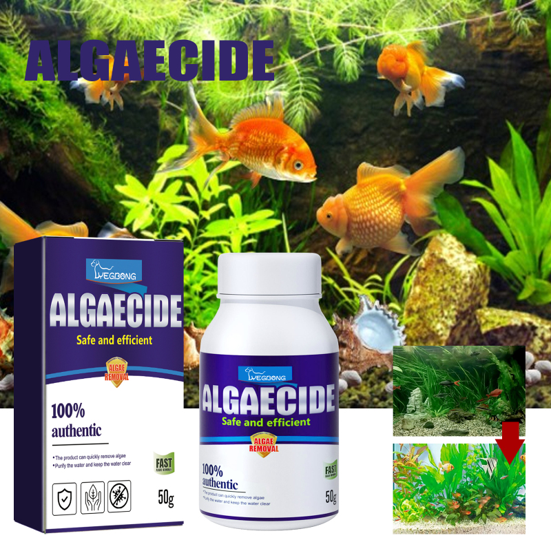 Yegbong Algae Remover Moss Remover Aquarium Algae Remover Moss Remover Aquarium Algae Remover Green Remover - Image 2