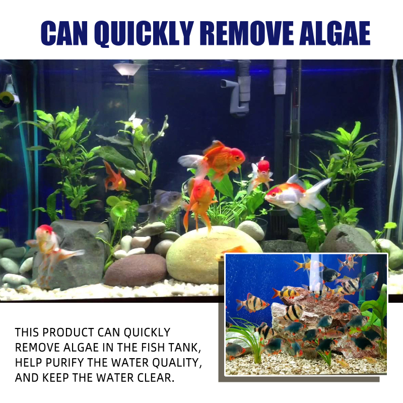 Yegbong Algae Remover Moss Remover Aquarium Algae Remover Moss Remover Aquarium Algae Remover Green Remover - Image 4