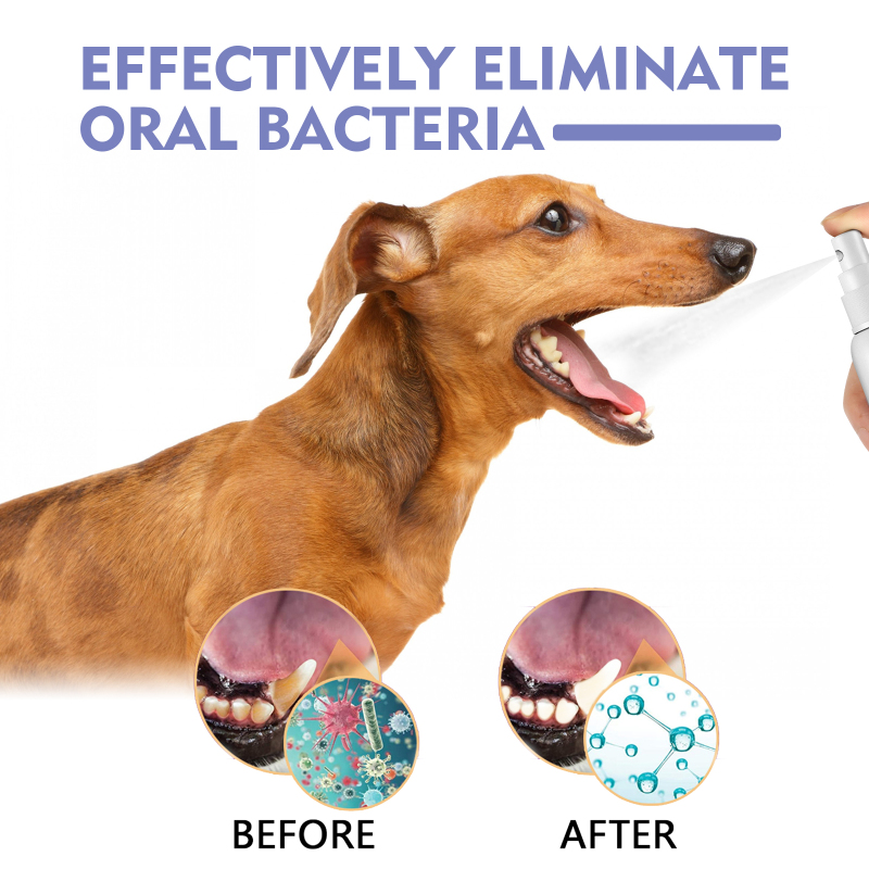 Yegbong Tooth Cleaning Spray For Cats And Dogs, Remove Tooth Stains Fresh Breath Pets Oral Care Spray - Image 3