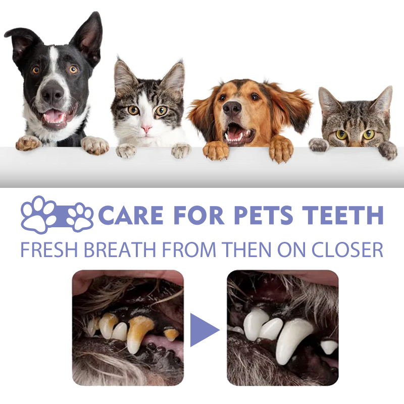 Yegbong Tooth Cleaning Spray For Cats And Dogs, Remove Tooth Stains Fresh Breath Pets Oral Care Spray - Image 4