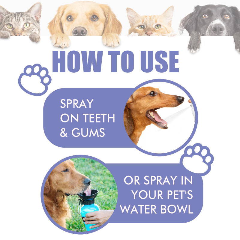 Yegbong Tooth Cleaning Spray For Cats And Dogs, Remove Tooth Stains Fresh Breath Pets Oral Care Spray - Image 6