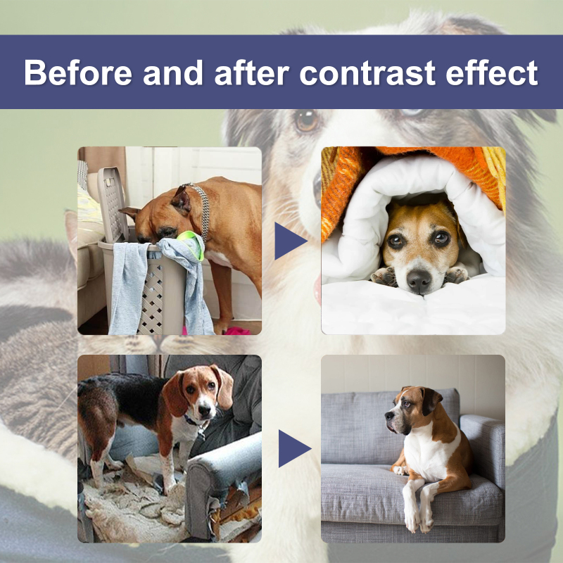 Yegbong Pet Bitter Anti-Biting Spray, Prevent Dogs Chewing Table And Chair Legs, Scratching Sofa Spray - Image 3