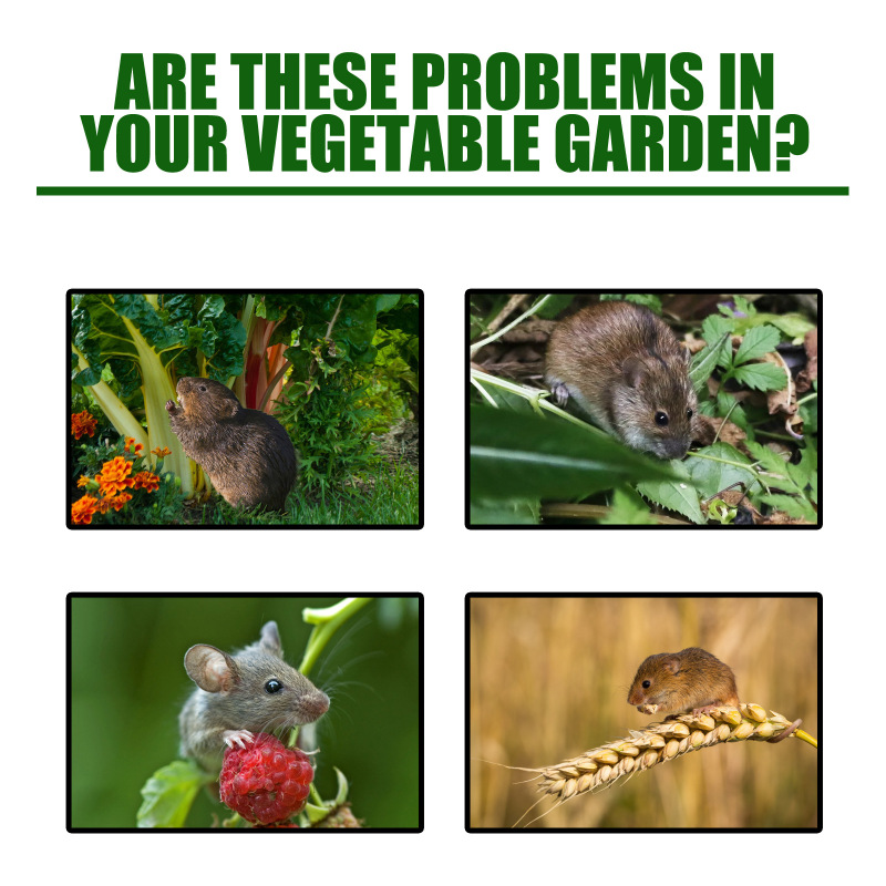 Yegbong Mouse Repeller, Mouse Repellent Gardeners Use Car Engine Rodent Repellent - Image 4